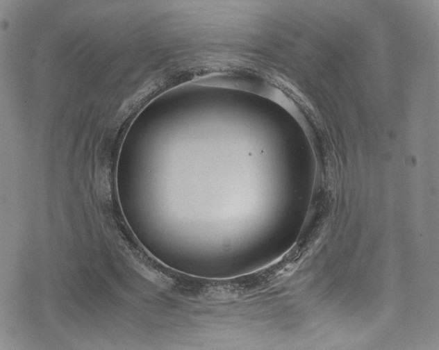 X0000072500489200607141133