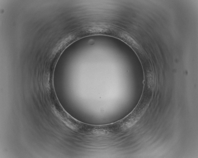 X0000072500490200607141133