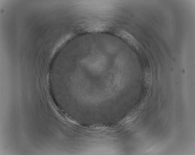 X0000072500491200607141133