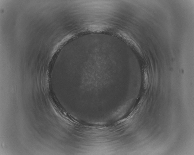 X0000072500492200607141133