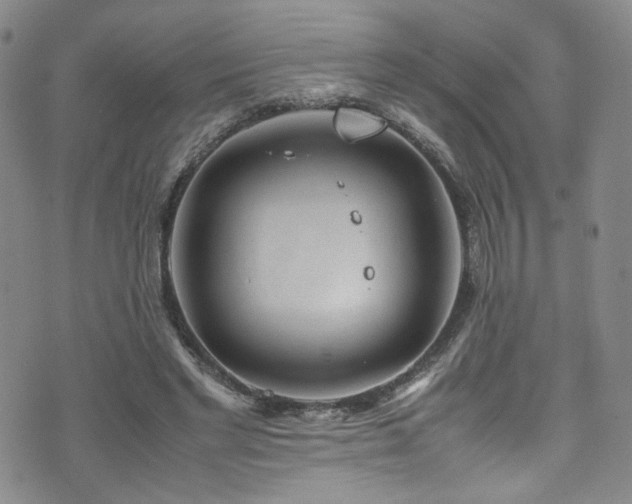 X0000072500493200607141133