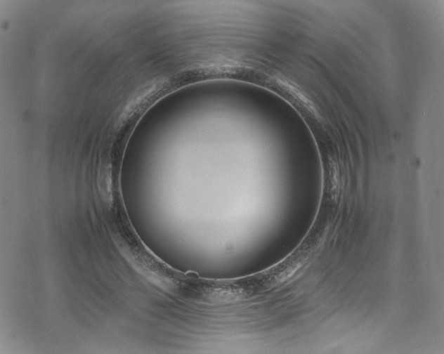 X0000072500494200607141133