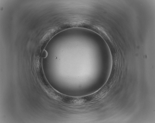 X0000072500495200607141133