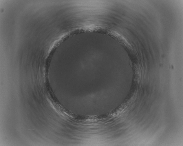 X0000072500496200607141133