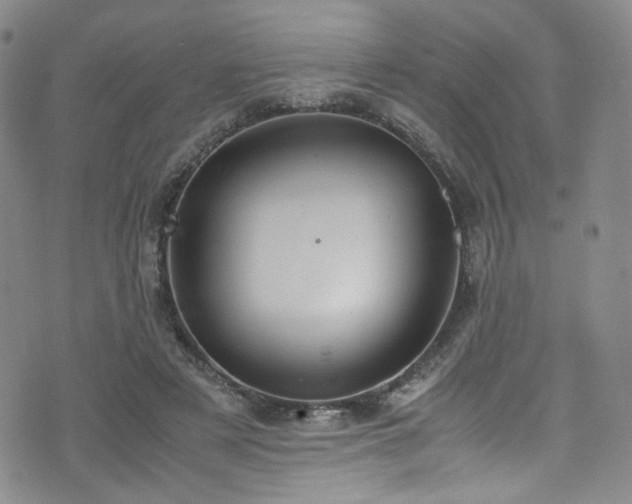 X0000072500497200607141133