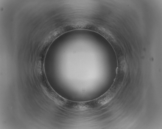 X0000072500498200607141133