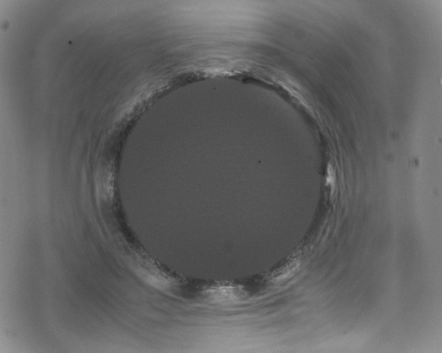 X0000072500499200607141133