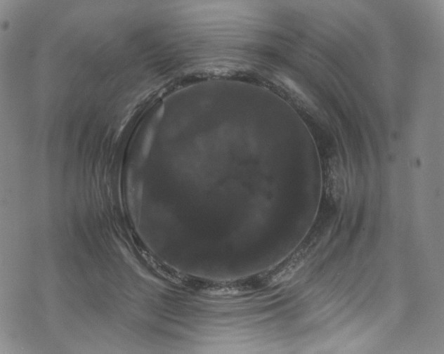 X0000072500500200607141133