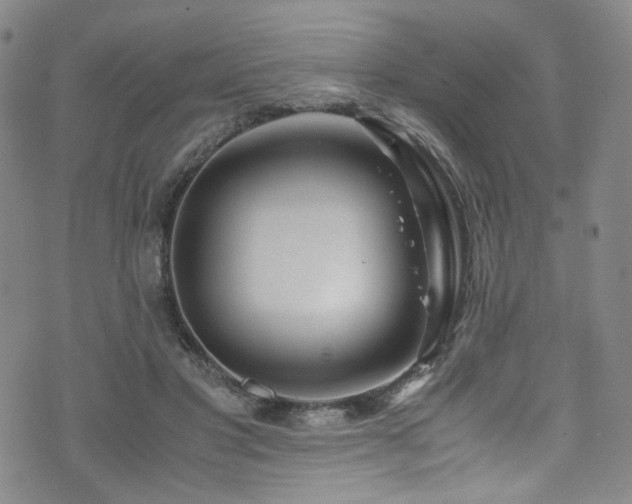 X0000072500501200607141133