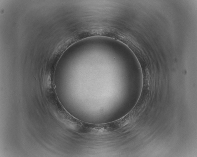 X0000072500502200607141133