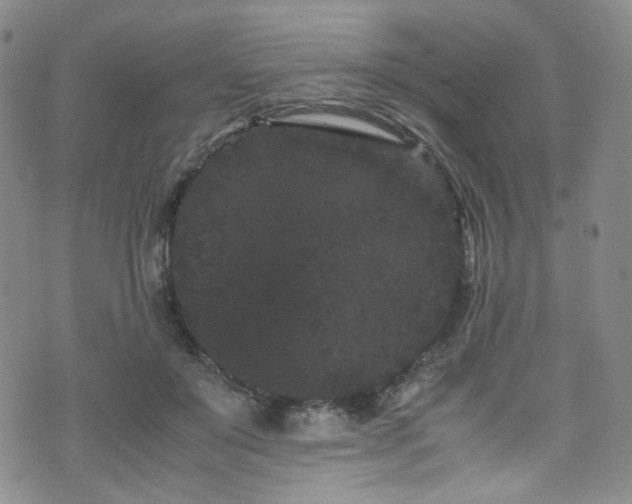 X0000072500503200607141133