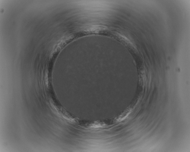 X0000072500504200607141133