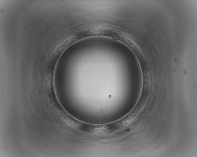 X0000072500505200607141133