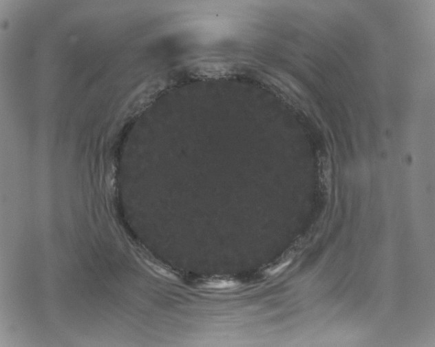 X0000072500507200607141133