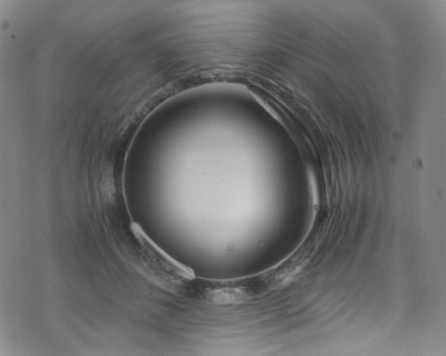 X0000072500508200607141133