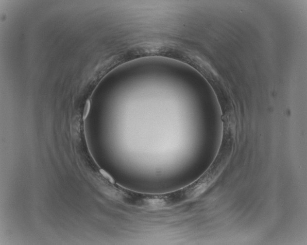 X0000072500509200607141133