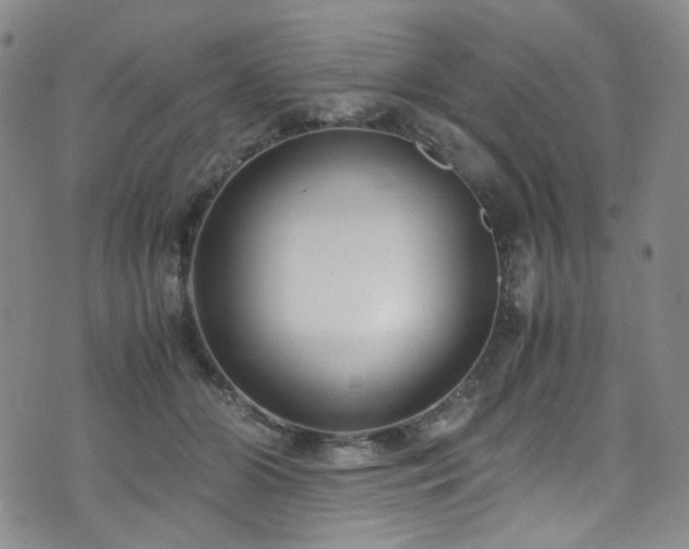 X0000072500510200607141133