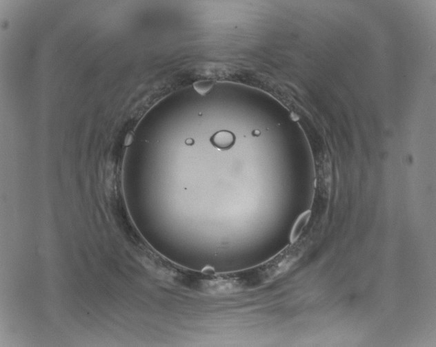 X0000072500511200607141133