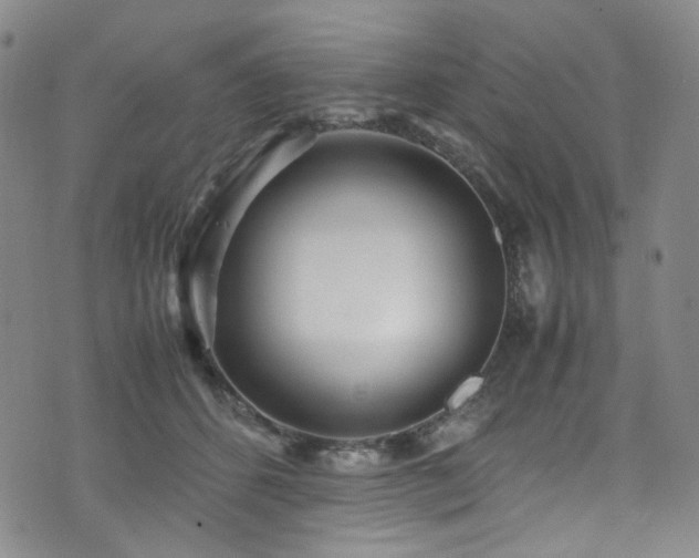 X0000072500512200607141133