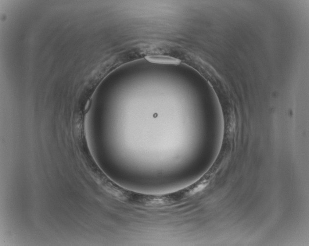 X0000072500513200607141133