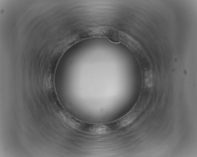 X0000072500514200607141133