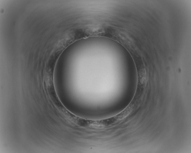 X0000072500515200607141133