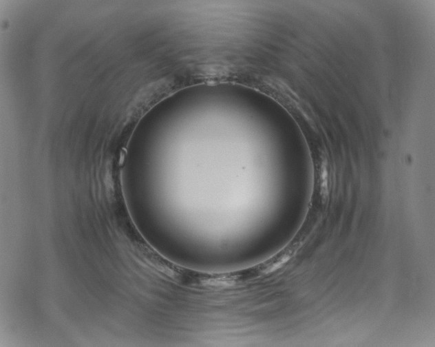 X0000072500516200607141133