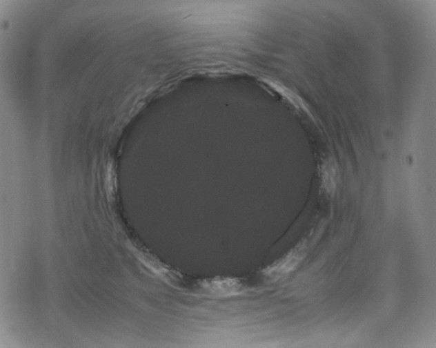 X0000072500517200607141133