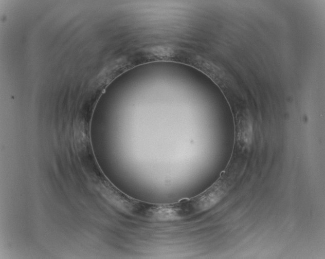 X0000072500518200607141133