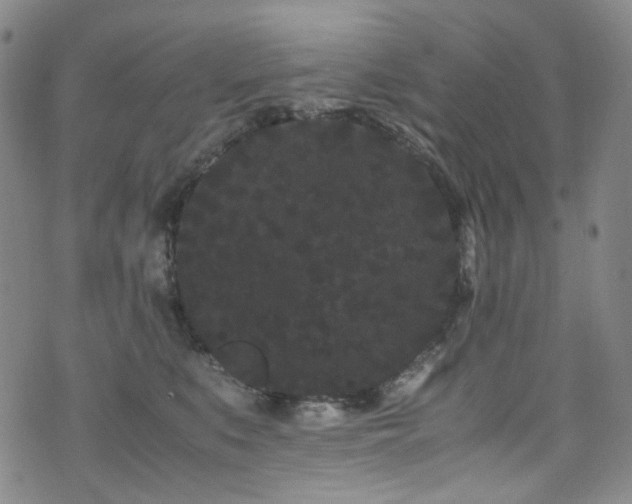 X0000072500519200607141133