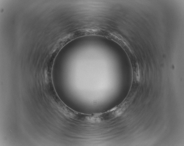 X0000072500520200607141133