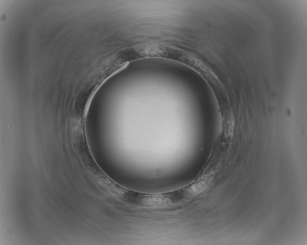 X0000072500521200607141133