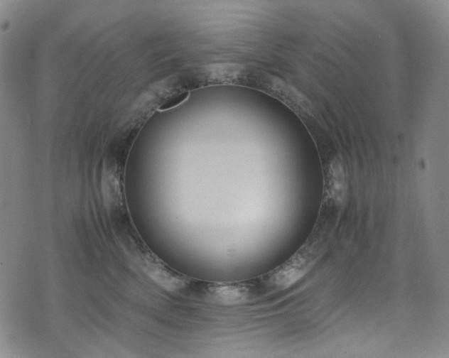 X0000072500522200607141133