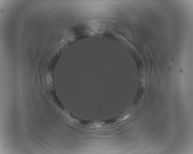 X0000072500523200607141133