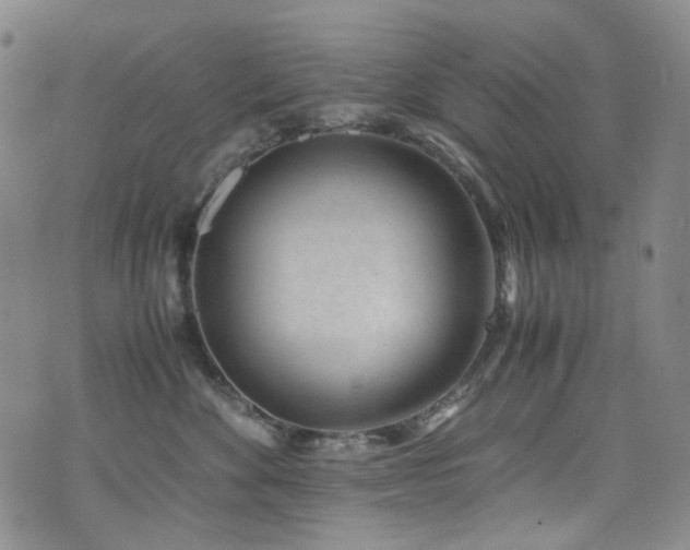 X0000072500524200607141133