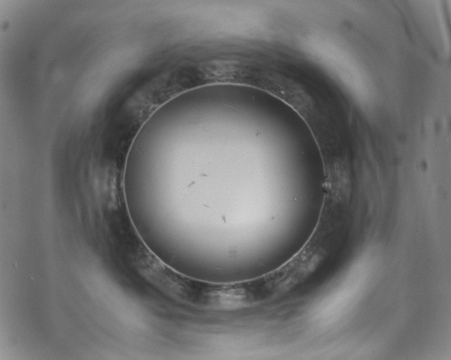 X0000072500525200607141133