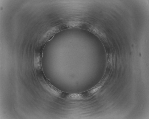 X0000072500526200607141132