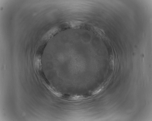 X0000072500527200607141132