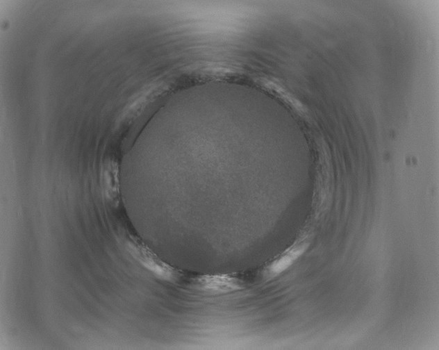 X0000072500528200607141132