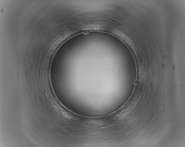 X0000072500529200607141132