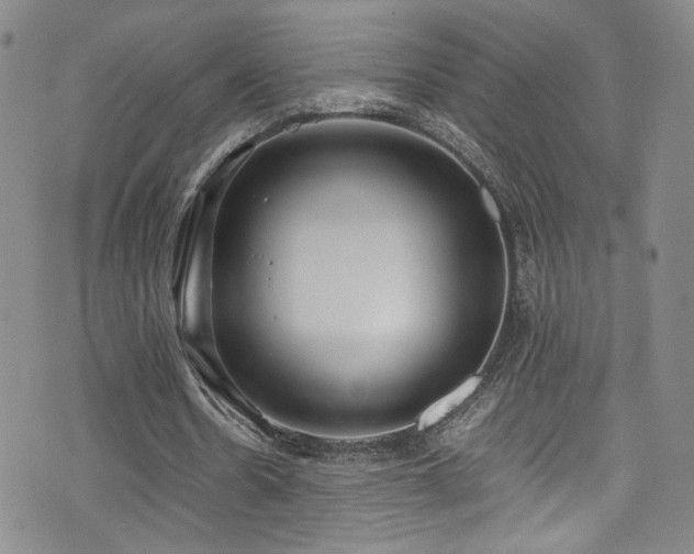 X0000072500530200607141132