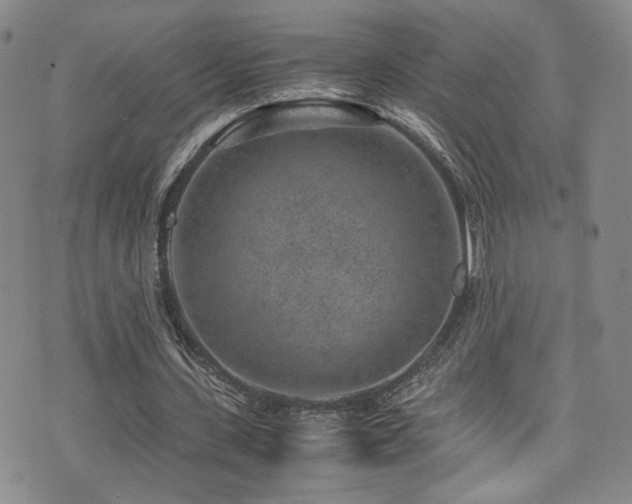 X0000072500531200607141132