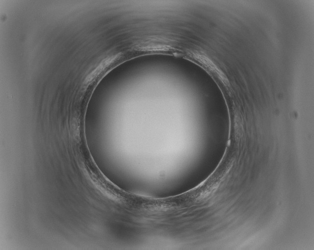 X0000072500533200607141132