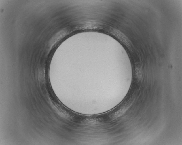 X0000072500534200607141132