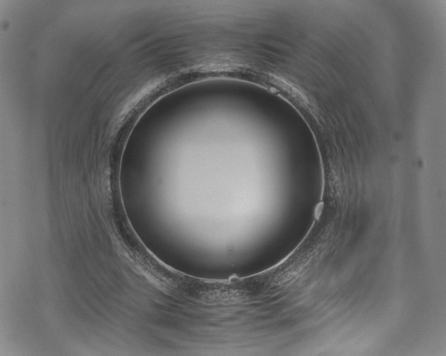 X0000072500535200607141132