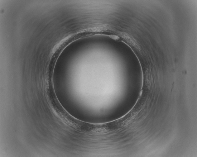 X0000072500536200607141132