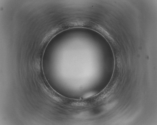 X0000072500537200607141132