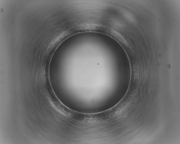 X0000072500538200607141132