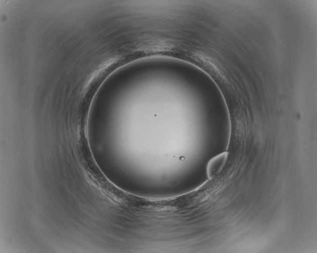 X0000072500539200607141132