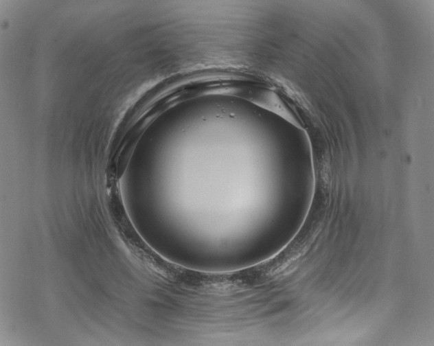 X0000072500540200607141132